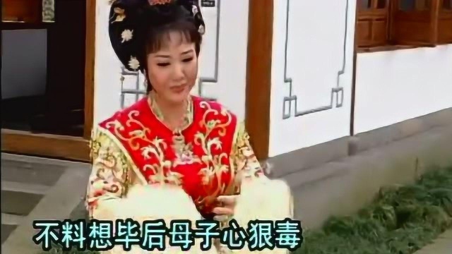 潮剧《愿亲人长欢寿百年》演唱:王少瑜