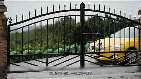 梦魇边缘的孤独诞生，解读校门口孤影，女孩产子无人问的梦境寓意