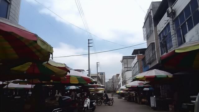 广西钦州市新棠镇新华街正街街景