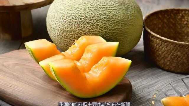 新疆的哈密瓜又大又香甜,那为什么只有新疆的哈密瓜这么甜呢?