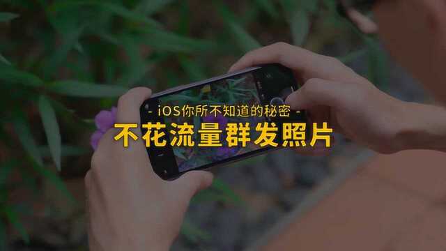 果粉必知:不花流量群发照片