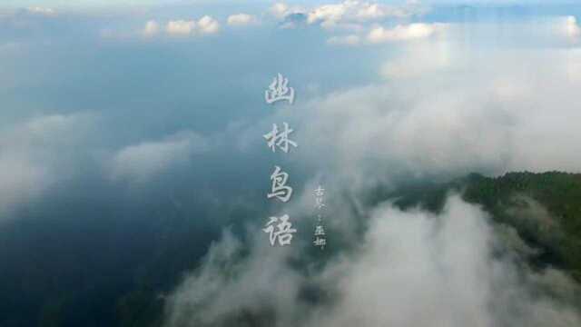 一曲《幽林鸟语》鸟鸣嘤嘤,小竹幽幽,琴音瑟瑟