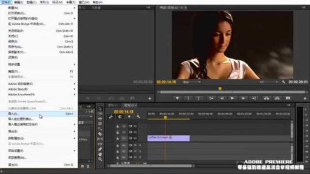 Adobe Premiere Pro CC视频编辑基础教程导入项目/XML/AAF文件