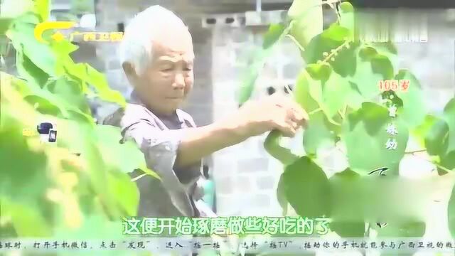 广西马山特色酸粉,百岁奶奶公开制作方法,赶紧学一下!