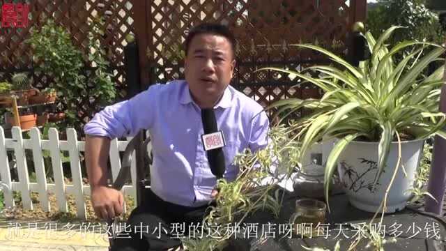 不会做报表咋办呢 中小餐馆利润下滑的20陋习