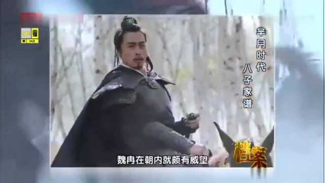 大揭秘ⷮŠ威武将军魏冉芈戎最后的结局