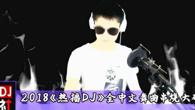 2018《热播DJ》全中文舞曲串烧大碟!