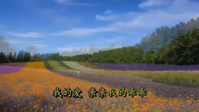 一首车载舞曲《我的小乖乖》聆听精致好音乐