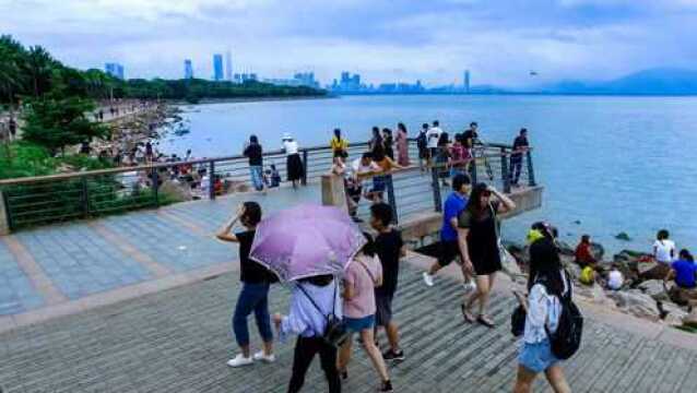 实拍深圳红树林,这里与香港遥相呼应,是来深游客首选地方!