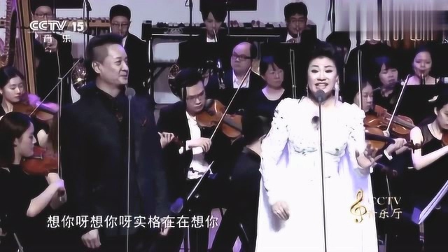 王丽达《山西民歌》一首民族风的歌曲“用歌声追梦”音乐会