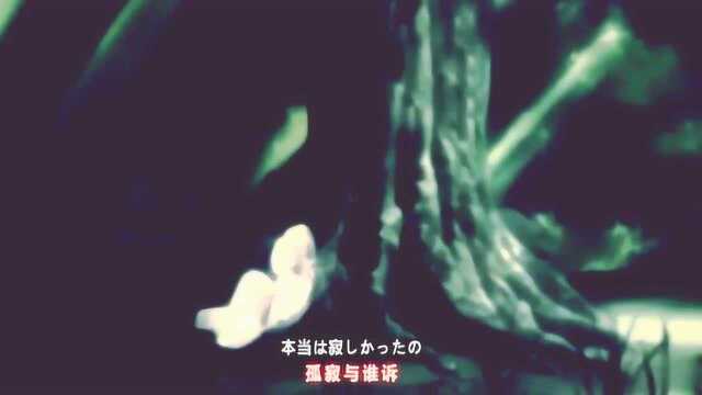 杀生丸和铃:一莲托生