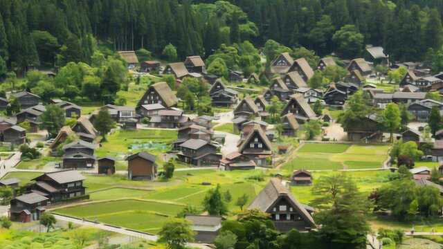 冠军地升龙道的各种美食