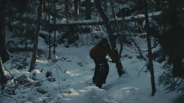 每日短片丨即便冬天也无所畏惧,换上雪地胎,征战冰岛的山林