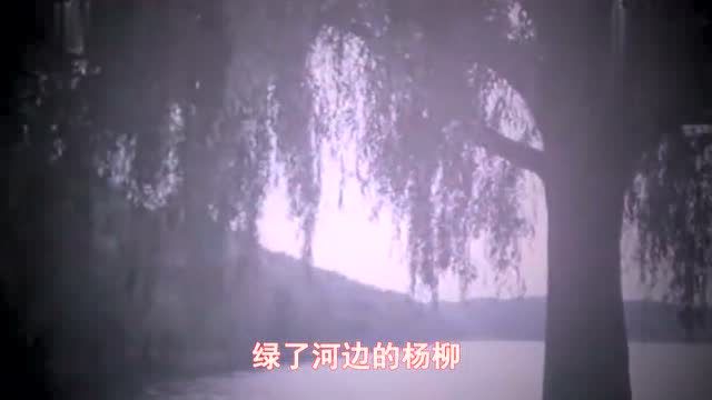 37年前的老歌,电影《绿色钱包》插曲《春雨蒙蒙地下》