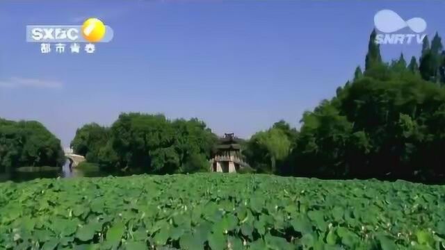 莲湖公园等12座公园 年前全部拆除围墙