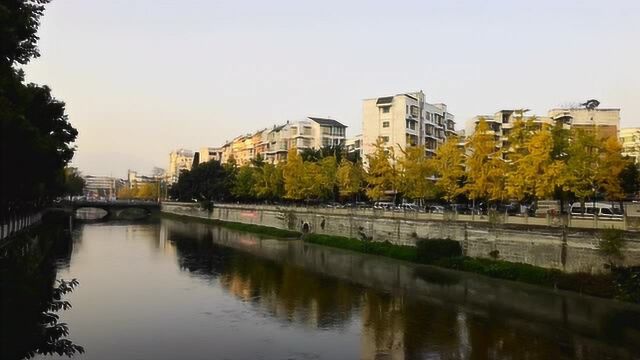 四川省江油市昌明河两岸的冬景,流水汤汤,银杏金灿!