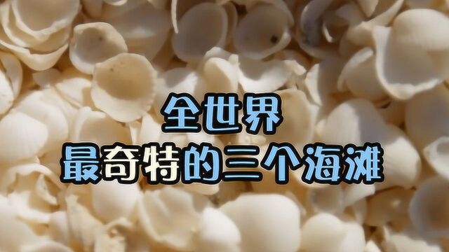 沙滩上全是白色贝壳?我能躺在上边拣一辈子贝壳,看完感叹太美了