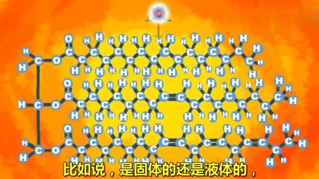 TED科普《你真的了解脂肪吗?》 一提到脂肪