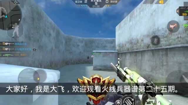 cf手游试玩国产武器AK47A流光茉莉