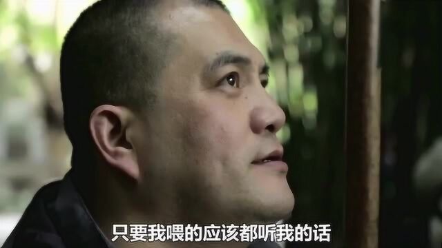 谭爷爷:奇一,星辉,崽儿,果赖!听到这真的笑哭了