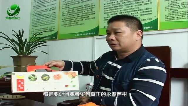 精细化管理催生品牌永春芦柑