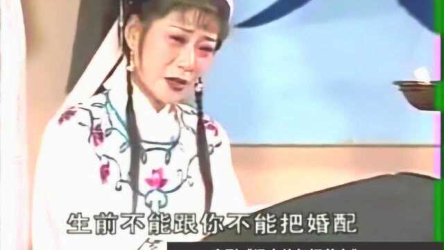 庐剧 汪莉《梁山伯与祝英台》“哭的我祝英台死去活来”