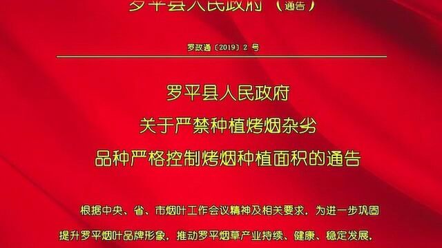 罗平县关于严禁种植烤烟杂劣品种严格控制烤烟种植面积的通告