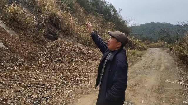 74岁“愚公”移山开路欠44万,还债14载至今还在打工