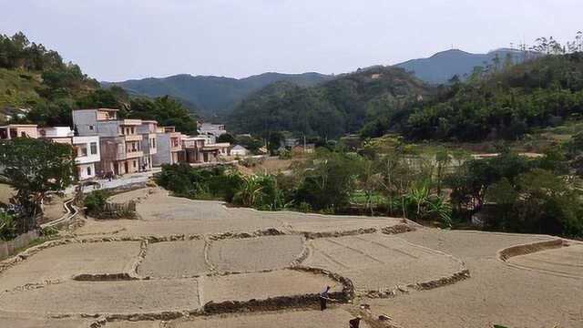 巳酉丑合文物全文武全才标金榜,风水大师寻龙点穴,阴宅祖坟风水