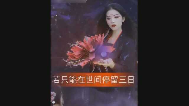 女曦传说之同心蛊 05