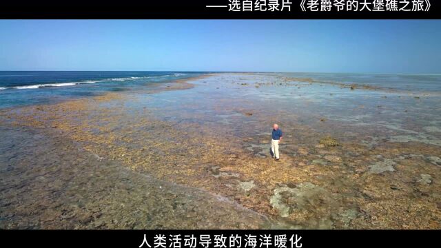 生物大师 初中 生物群落——大堡礁