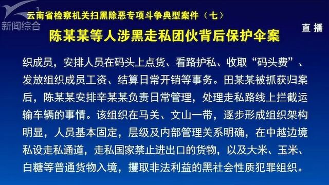 扫黑除恶专项斗争典型案件 陈某某等人涉黑走私团伙背后保护伞案