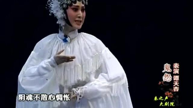 秦腔《鬼怨》精彩片段,谭天杏主演,戏迷福利