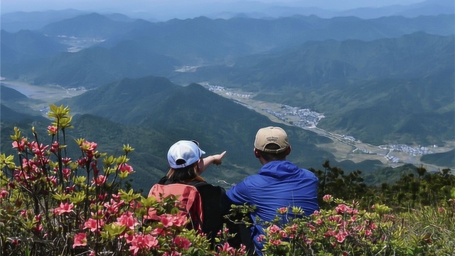 漫山遍野的杜鹃花 映山红 仿佛身处在一幅幅画卷中 五龙山游记