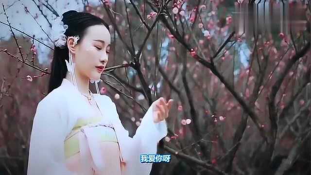 好听推荐《摘颗星星送给你》歌声甜美动人,歌曲悦耳动听