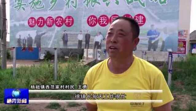 党支部领办合作社