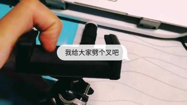 爬山虎的墙