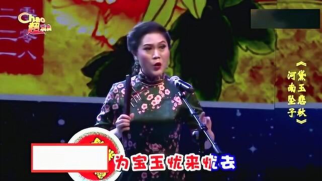 坠子大师赵铮《黛玉悲秋》