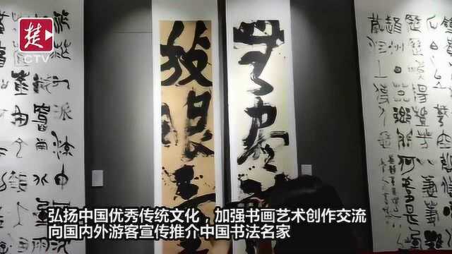 国内书法名家汇集白云黄鹤《翰墨风华书法展》