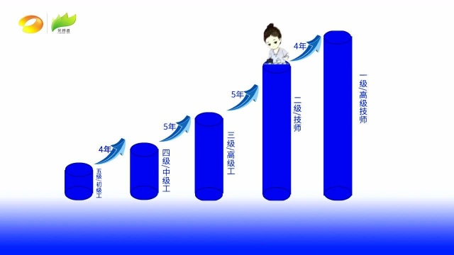 茶艺、评茶培训,国家开始补贴!比率高达75%!