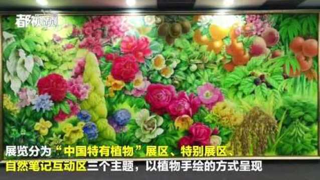 北京植物园又来了一批“中国特有植物”,不是种的是画的!