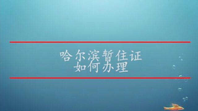 哈尔滨暂住证如何办理