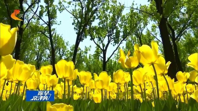 河北公布上半年空气质量排名,张家口空气质量和改善幅度居首位