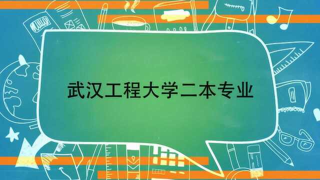 武汉工程大学二本专业