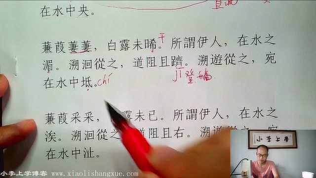 小李上学,古代汉语,诗经,蒹葭