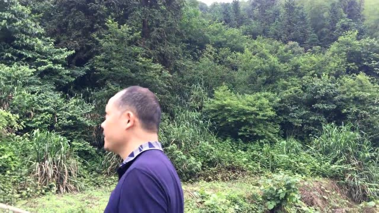 风水学习视频:不懂杨公风水真可怕,祖坟墓地风水葬这里就麻烦了