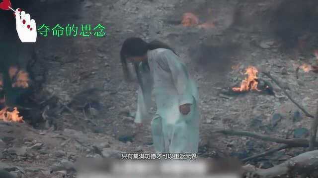 1分钟看完神幻片《降妖功德薄》