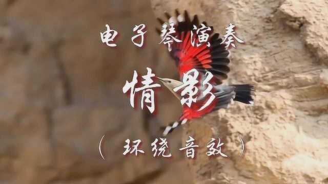 双电子琴演奏《情影》柔情似水 曲子很优美 听醉了