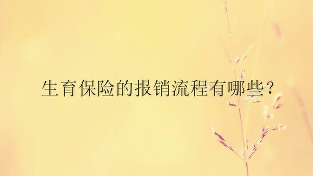 生育保险的报销流程有哪些?