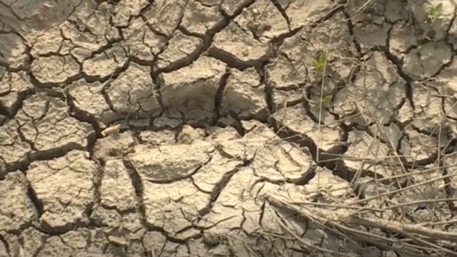 江苏苏北遭遇60年一遇罕见气象干旱:主要湖库接近死水位